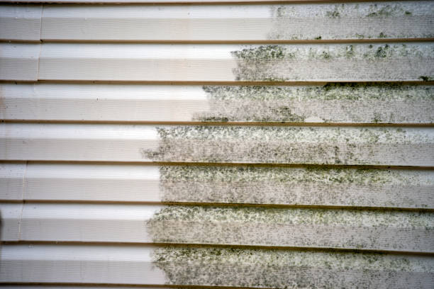 Best Steel Siding Installation  in East Rutherford, NJ