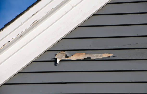 Best Historical Building Siding Restoration  in East Rutherford, NJ