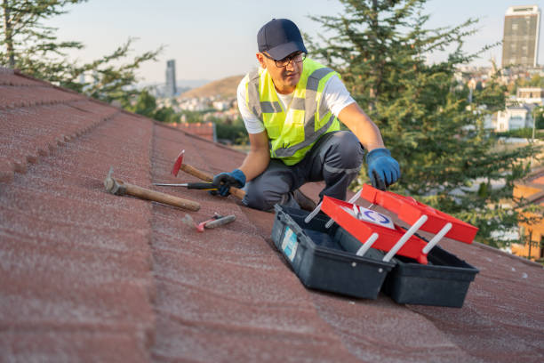 Best Insulated Siding Installation  in East Rutherford, NJ